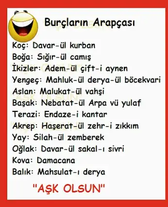 06.webp