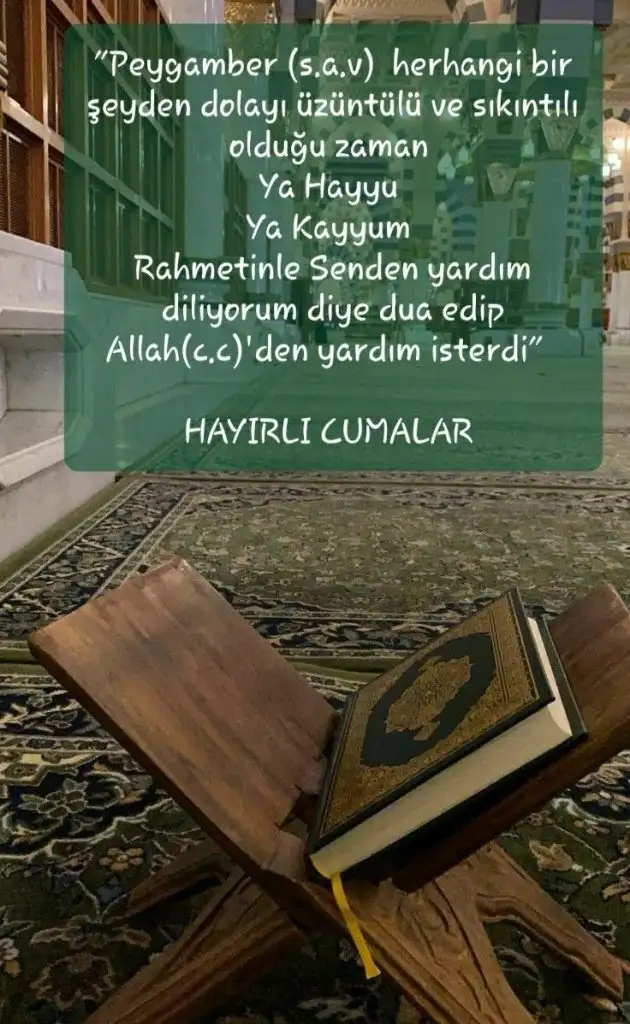 061b8a0b658b95a3221d8586739a7d71.webp