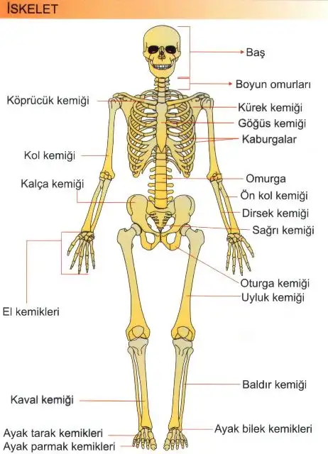 06e71dce1128f694e4566c620.webp