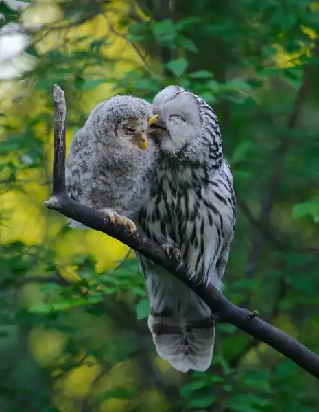 0708349d49ff4521bc396bcf66d75807.jpg.700x0_q85_autocrop_crop-smart_upscale.webp