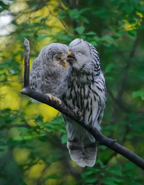 0708349d49ff4521bc396bcf66d75807.jpg.700x0_q85_autocrop_crop-smart_upscale.webp