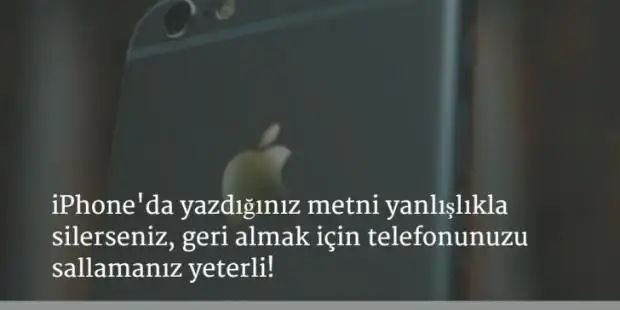 08.webp