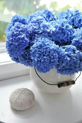 084f6efdcaea3d2a62a5c0b53af61796.webp