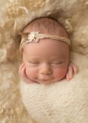 08_443x620.webp