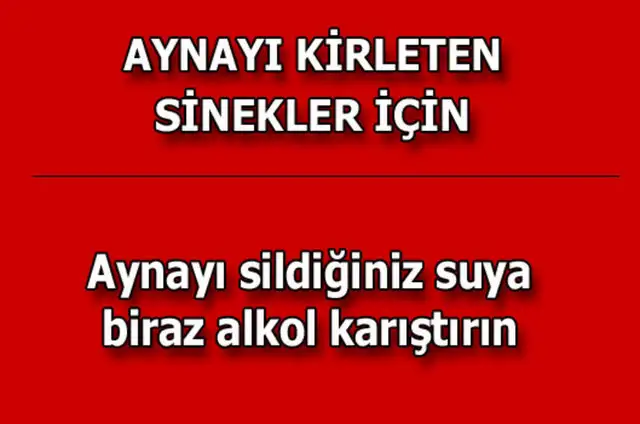 0d1813209ec78d45dd4f1036131cd5da_k.webp