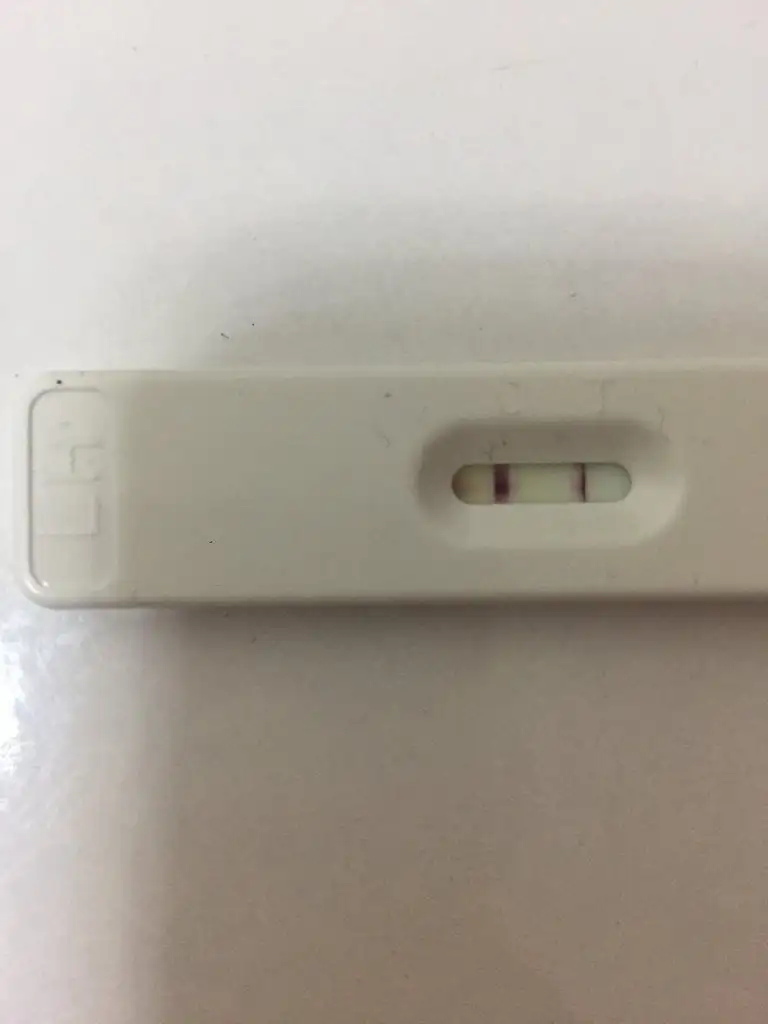 0DDA332F-15BB-49F8-BBDB-E4DCC5AF51D6.webp
