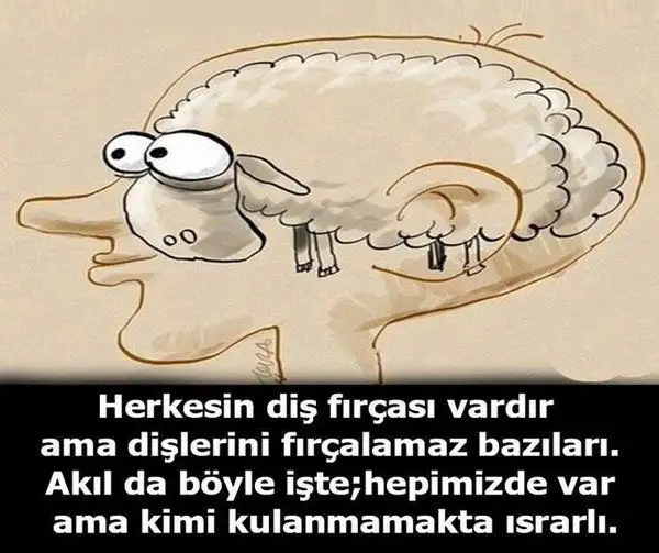 0e0bf4ae9c3a05c3f8710210295f2b23.webp