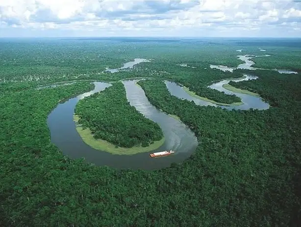 0x0-amazon_forest_24.webp