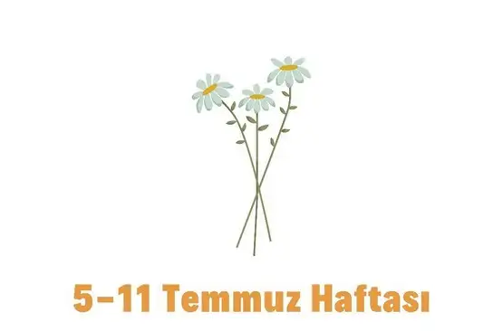 1 (1).webp