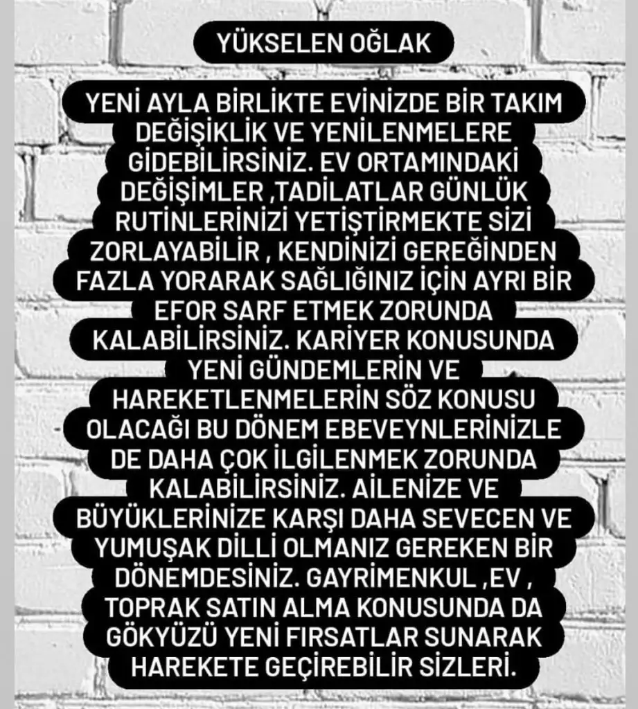 1 (10).webp