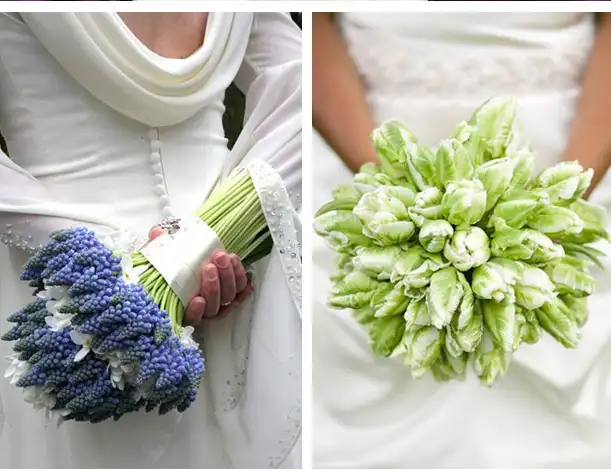 1-27-12_spring-flowers-2.webp