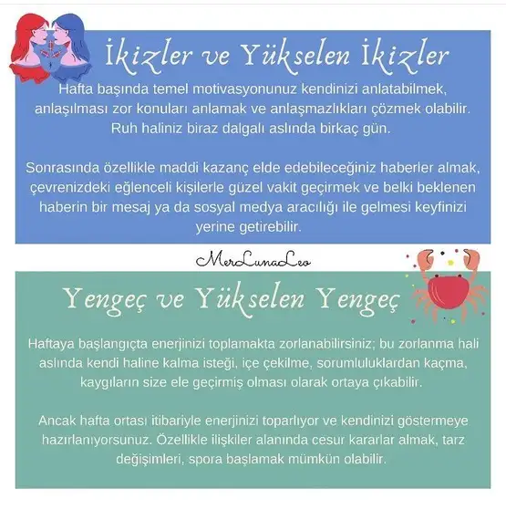 1 (3).webp