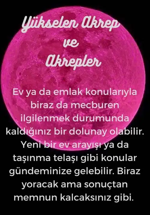 1 (8).webp