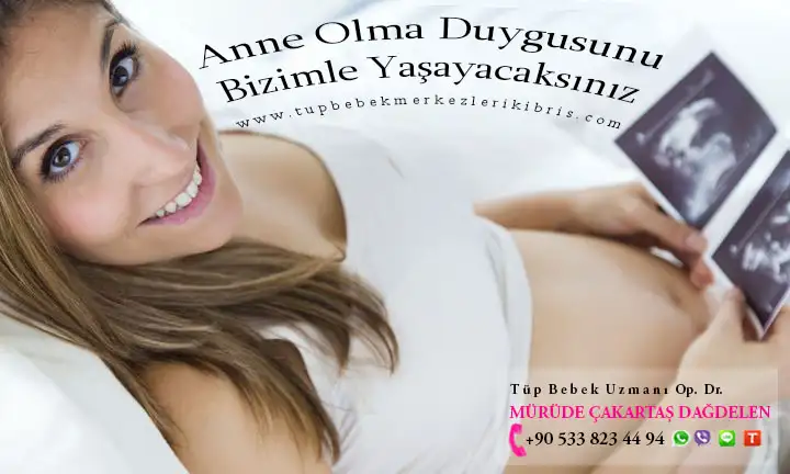1 okk.webp