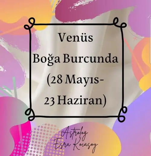 1 ven boga (1).webp