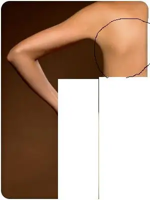 1.webp