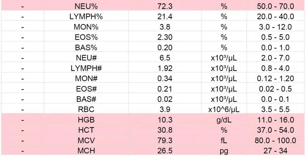 1.webp