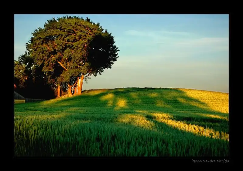 10.webp