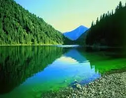 10.webp