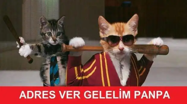 10.webp