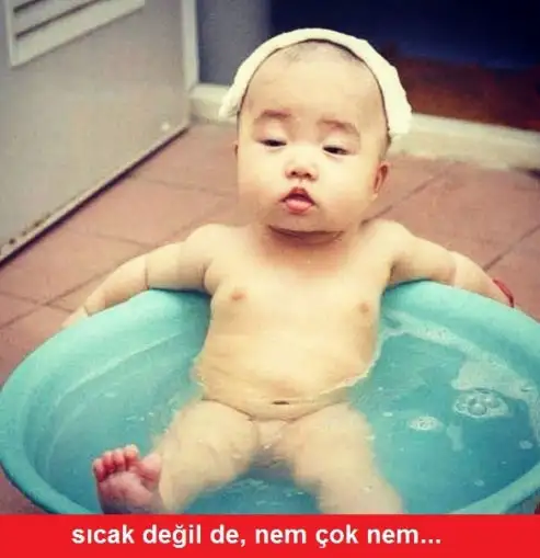 10.webp