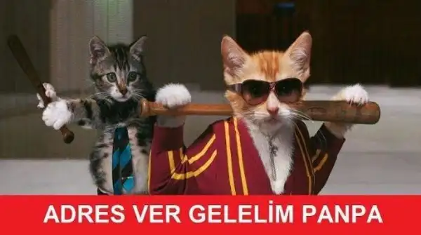 10.webp
