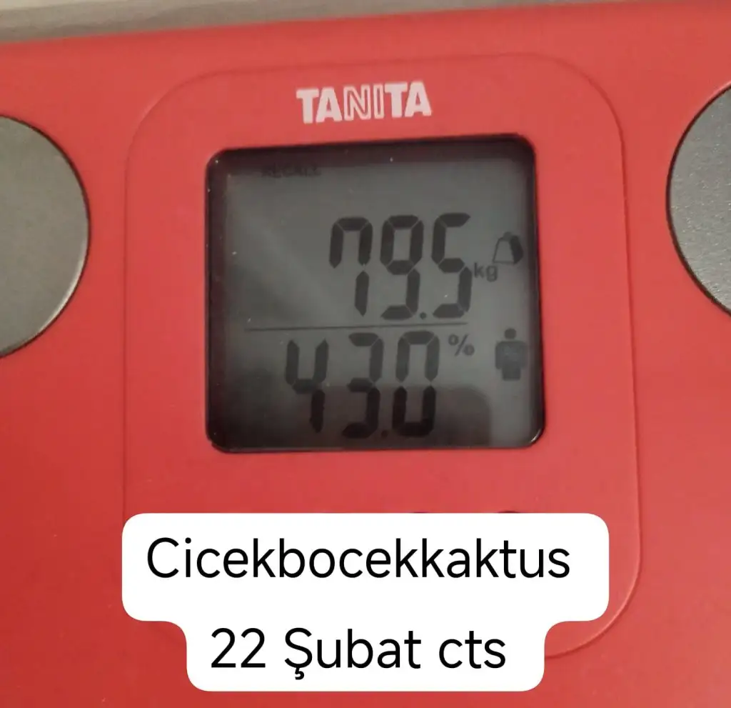 1000008302.webp