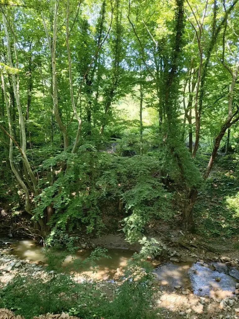 1000016777.webp