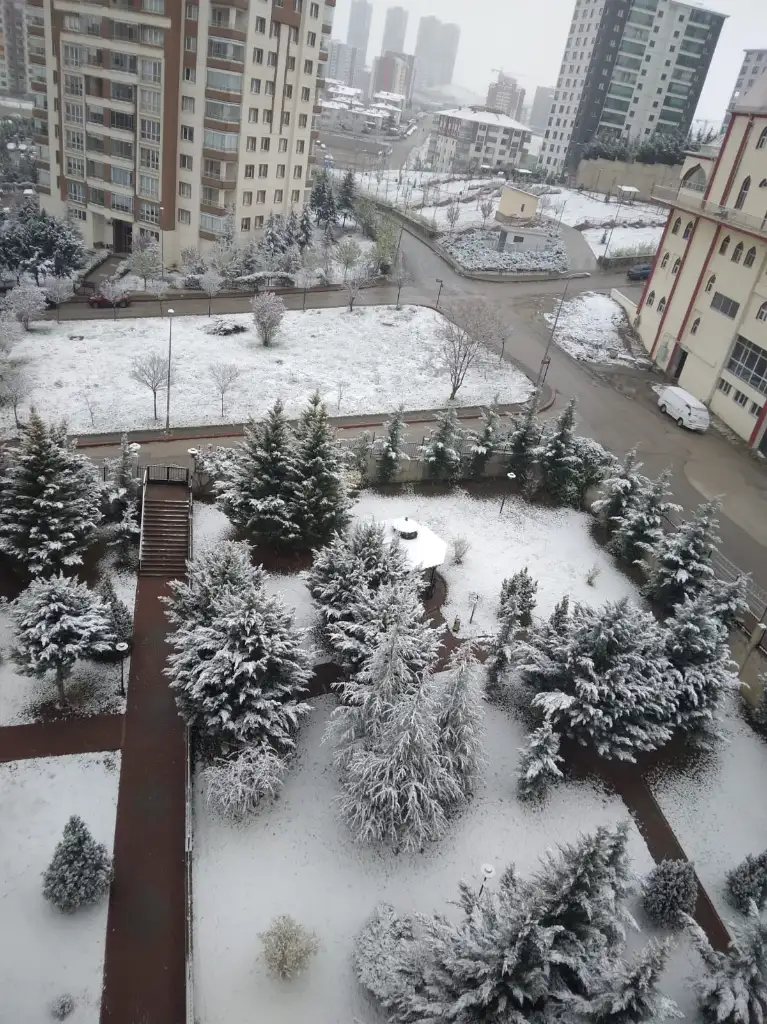 1000018279.webp
