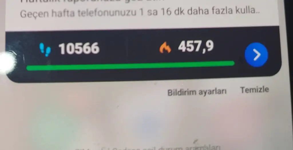 1000025128.webp