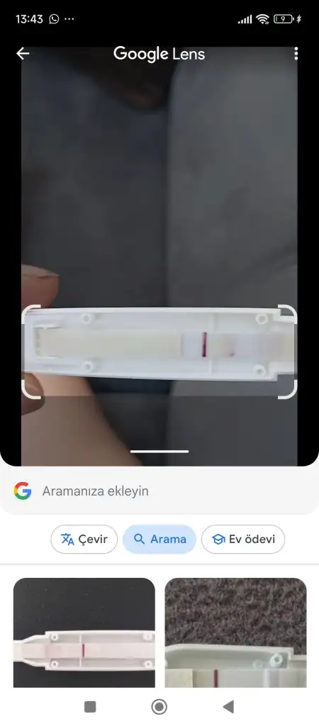 1000026728.jpg