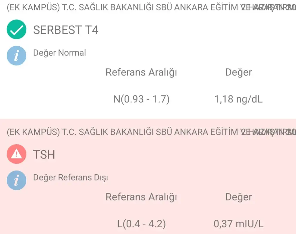 1000026794.webp
