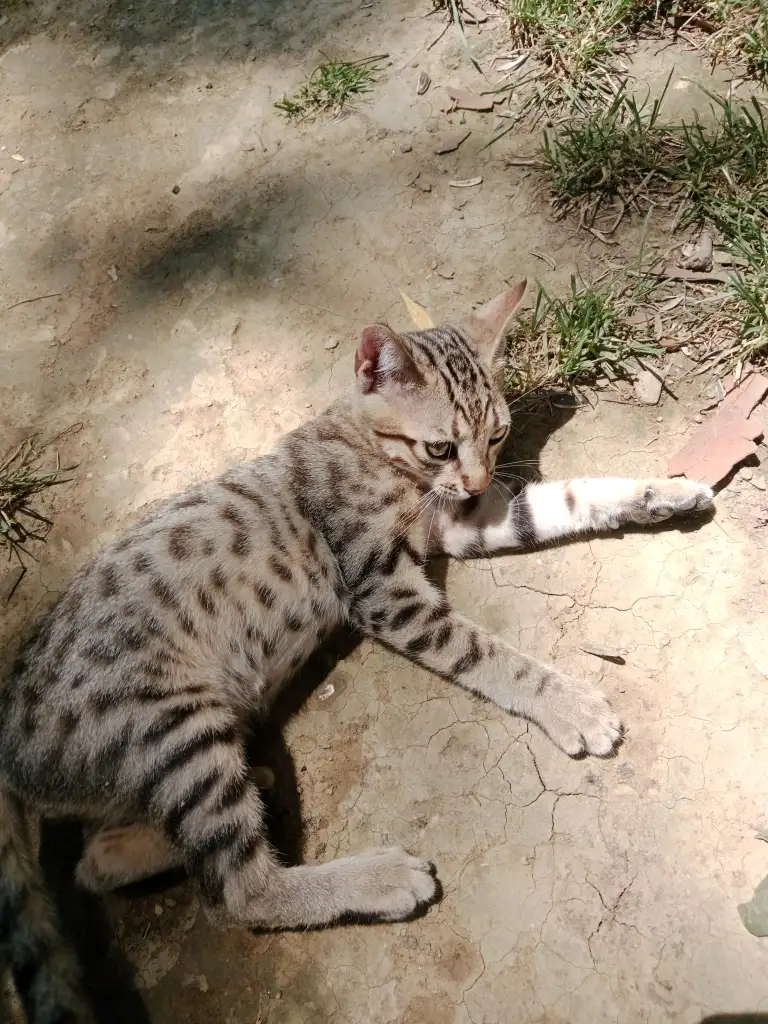 1000030911.webp