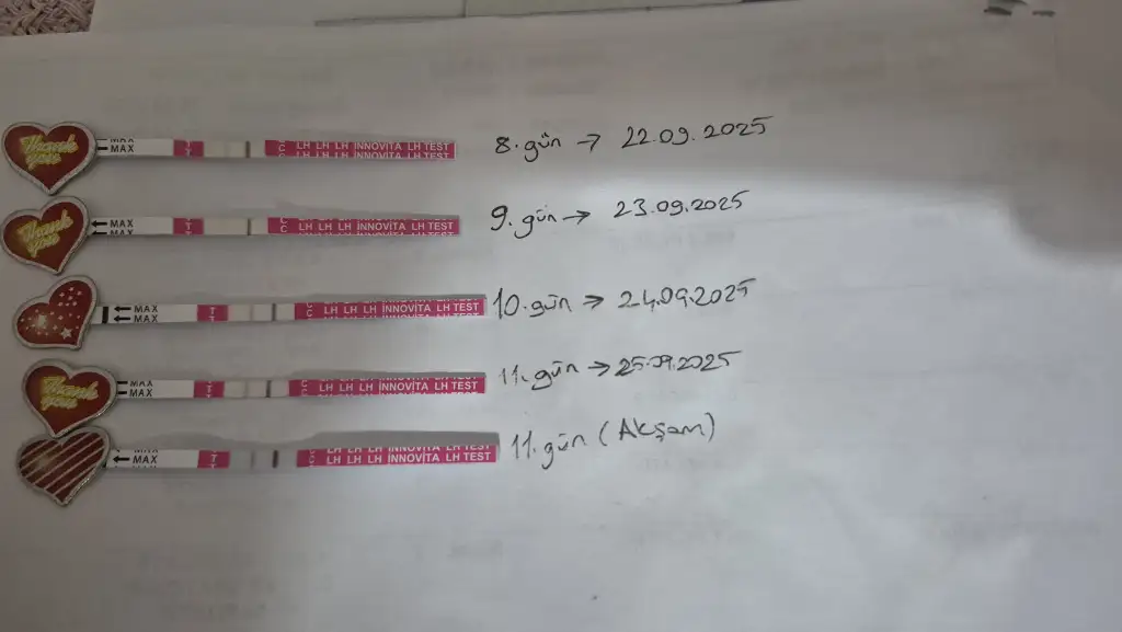 1000031758.webp