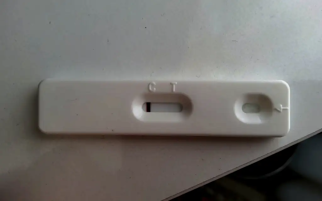 1000033131.webp