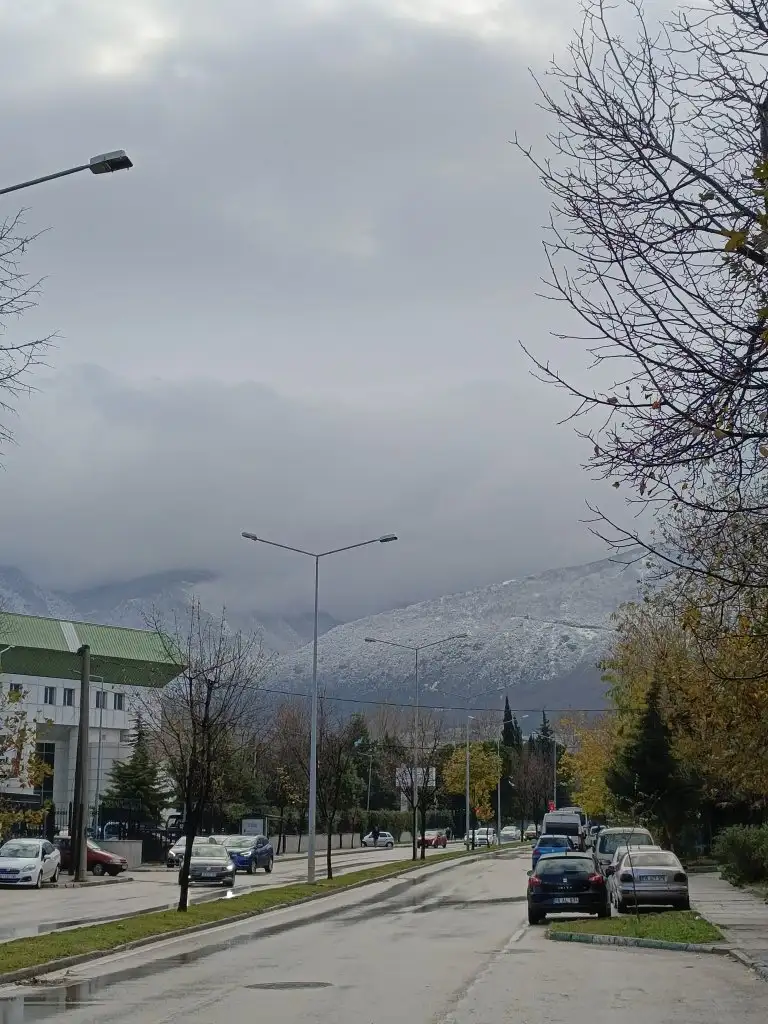 1000035279.webp
