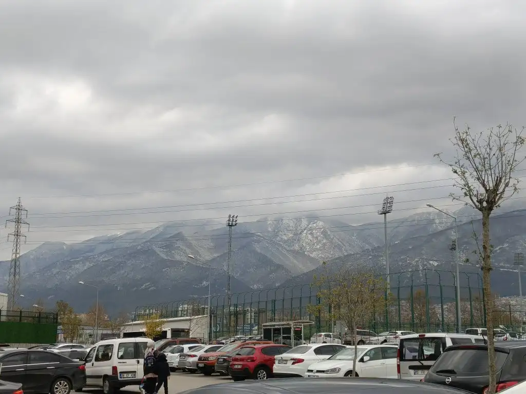 1000035445.webp