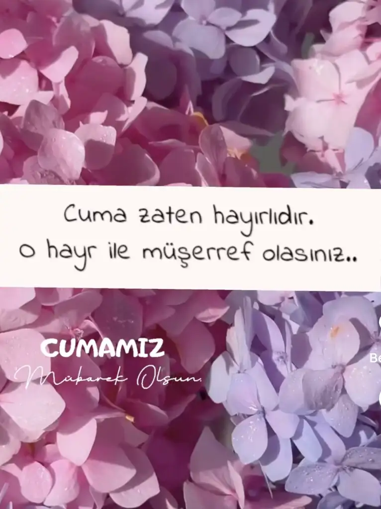 1000038742.webp