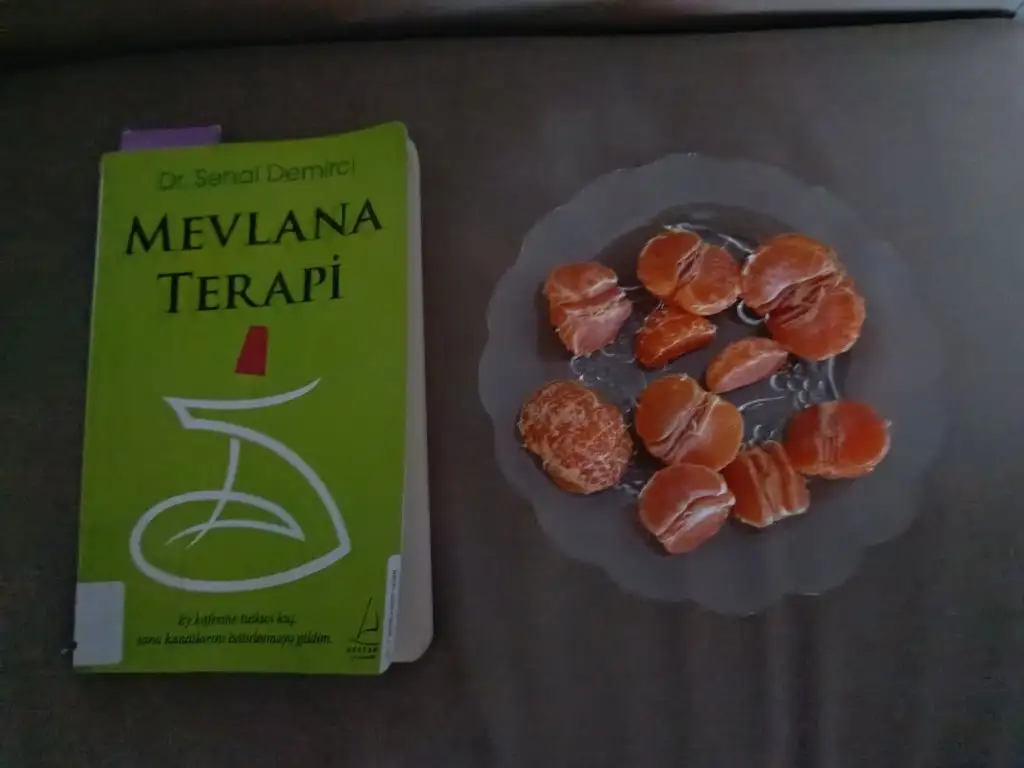 1000039202.webp