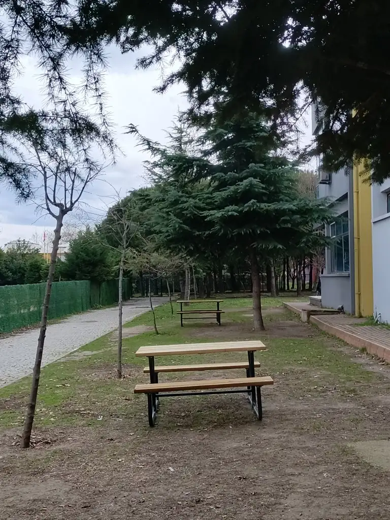 1000039302.webp