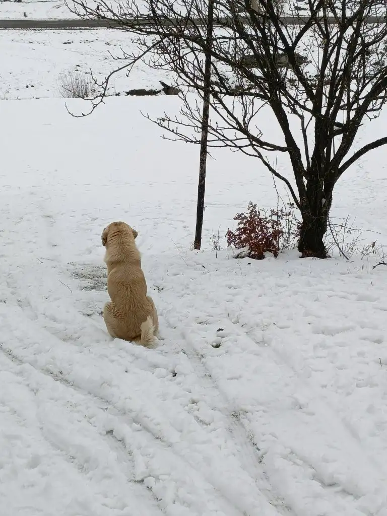 1000040341.webp