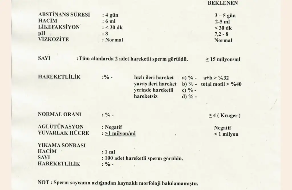 1000045096.webp