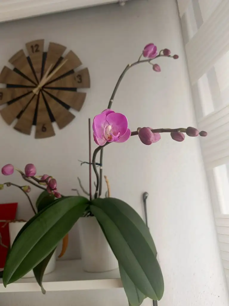 1000047808.webp