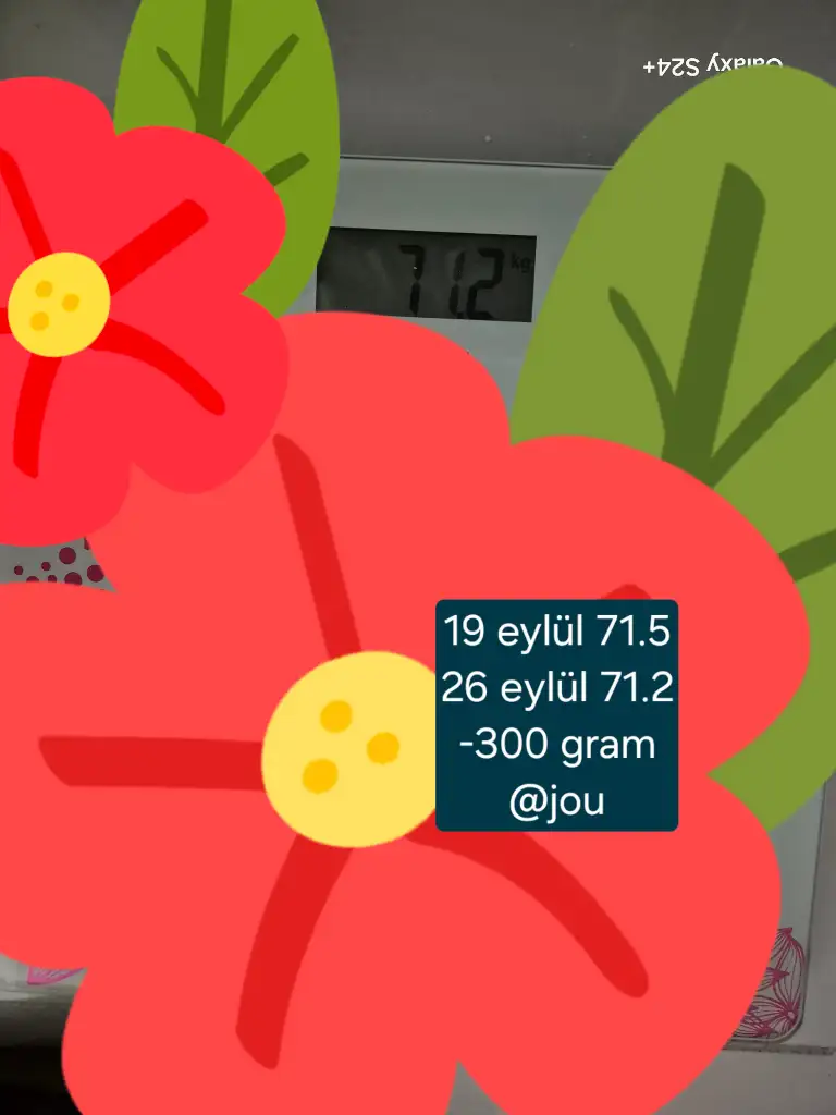1000049150.webp