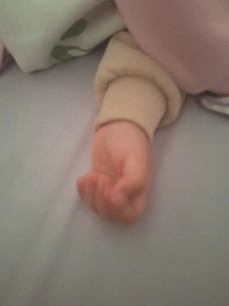 1000051040.webp