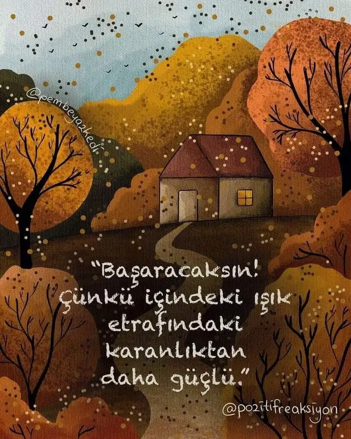 1000051656.webp