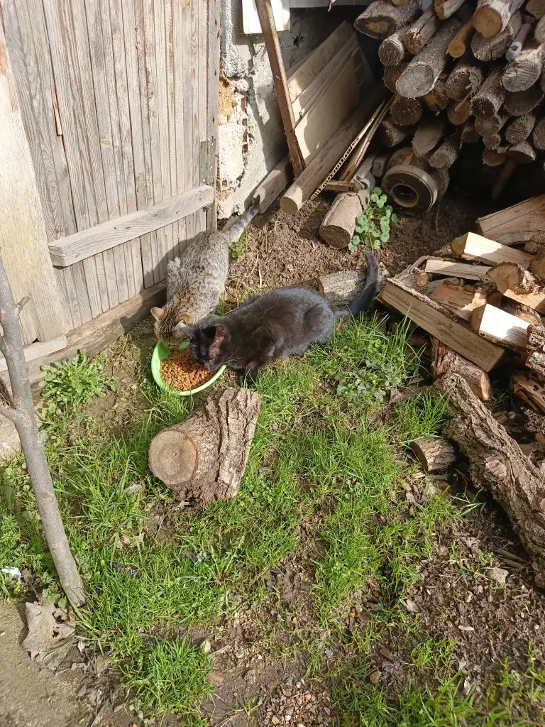 1000052135.webp