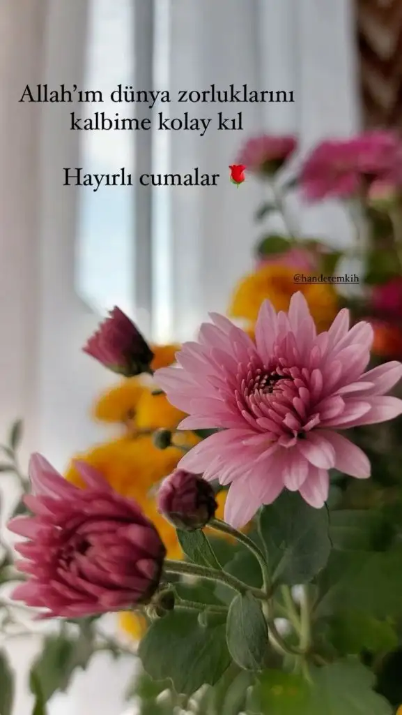 1000052390.webp