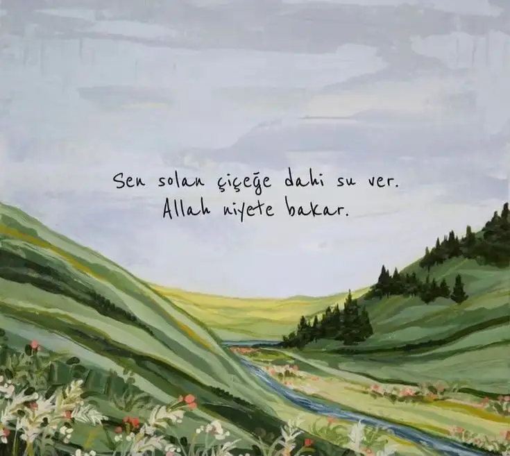 1000052914.webp