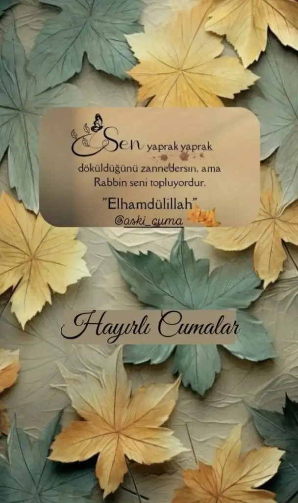 1000054337.webp